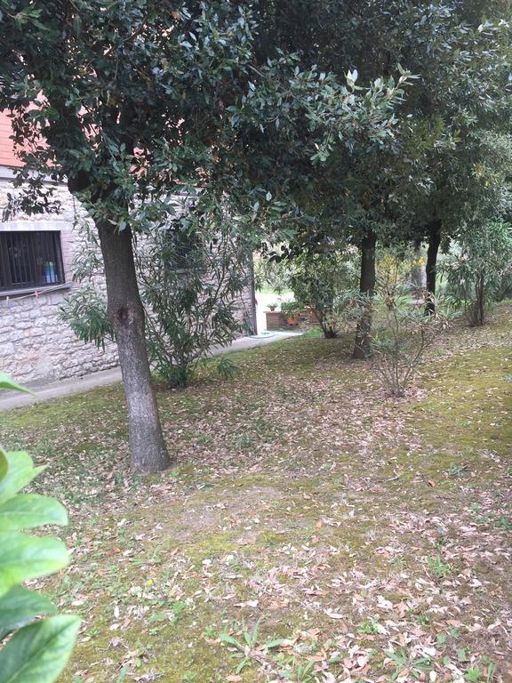 Appartamento Dell Agriturismo Pane E Olio Todi Dış mekan fotoğraf