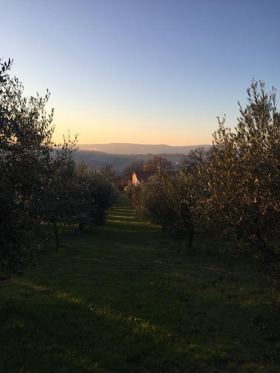 Appartamento Dell Agriturismo Pane E Olio Todi Dış mekan fotoğraf